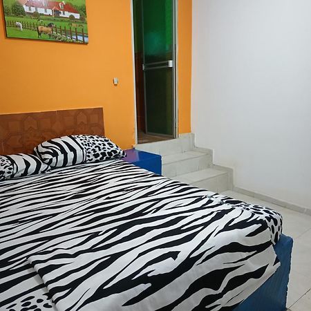 فندق Casa Sion نيفا المظهر الخارجي الصورة